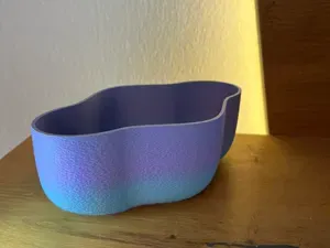 Luma Bowl – Geschwungene Deko-Schale im Fuzzy-Stil