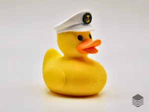 Captain's Hat Duck