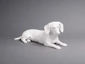Lying Dachshund, Sausage Dog - Animal - Dog