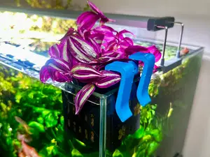 Aquarium Hanging Plant Basket - Adjustable Height