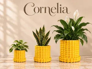 Cornelia - Bubble Textured Planter with Drip Tray