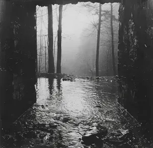 Flood