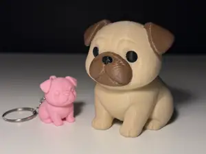 Cute Pug