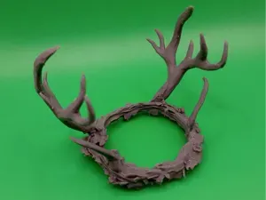 The crown of the forest king