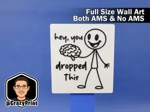 Funny Sarcastic Sign / Wall Art - No AMS