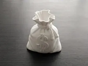 Money Bag