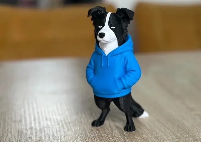 Cool swag Border Collie — Image 6 of 6