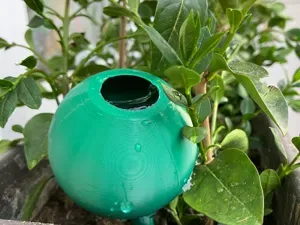 Customizable self watering sphere
