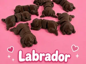 Mini Amigos – Flexi Labrador Articulated Flexy