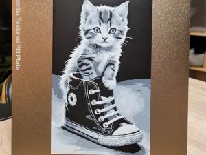 Cat Hueforge - Kitten in Converse - Black White