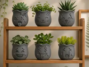 Cute Face Emoji Planters | Succulent Pots 2.0