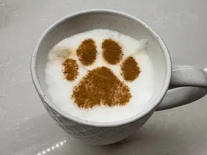 3 Pack Paw Latte Coffee Stencils