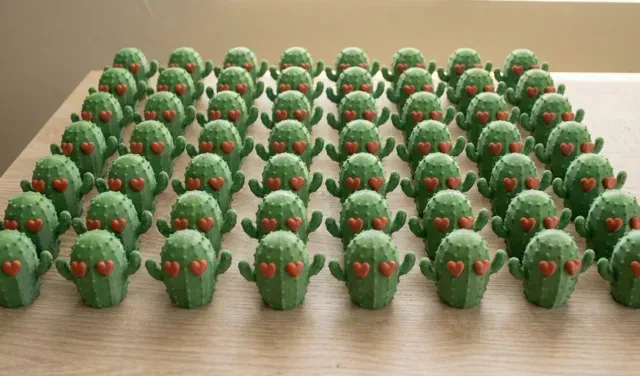 Cactus in love for Valentine's day — Фото 2 из 3