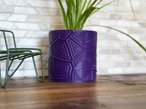 Abstract Organic Planter – Vase Mode