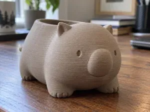Little Wombat Succulent Planter