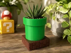 Super Mario Inspired Pipe Cactus Planter