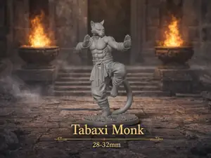 Tabaxi Monk - DND miniature