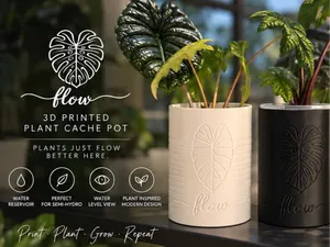 Flow Alocasia Semi-Hydro Cache Pot - Updated