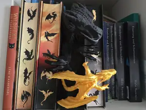 Fourth Wing Booknook