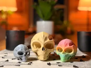 Alien Skull Fossil