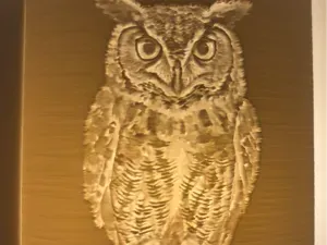 Owl Night Light