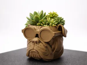 Bulldog Pflanztopf "Boss Paws" mit Brille