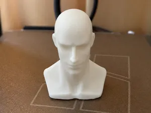 Human Head Model