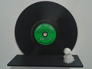Retro Vinyl LP Record Wall Shelf – Music Decor