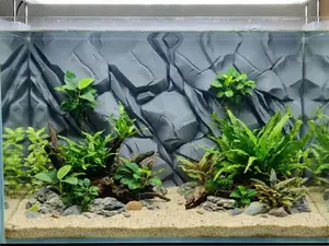 Realistic Rock Aquarium Terrarium 3D Background