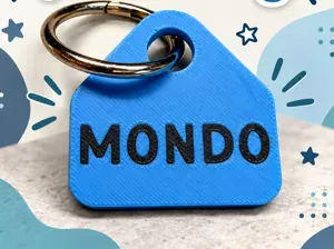 Customizable Name Tag
