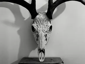 Graphic Deer Skull "Sacred" - Antler Mount Bullets