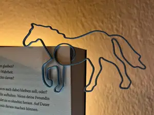 Clippin // Pferd – Für Reiter: & Freigeister