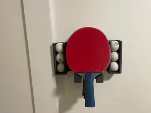 Table Tennis Organizer