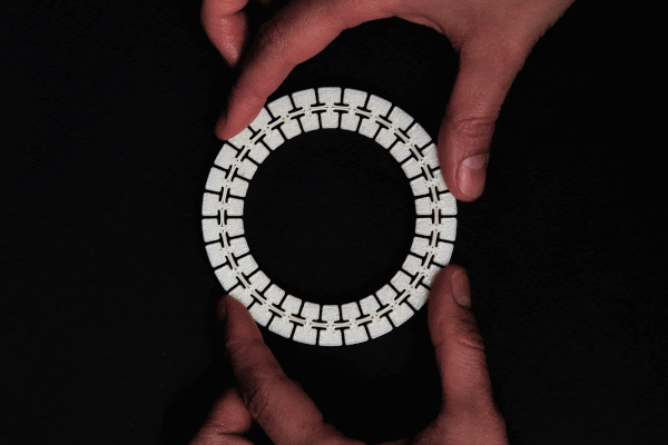 The Ring - Compliant Mechanism