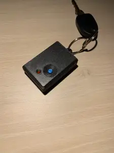 Alarm box for Fiat Punto (1993-1999)