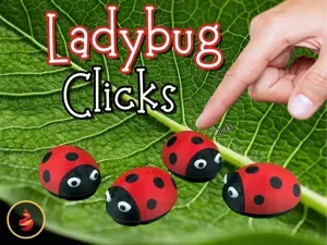Ladybug Clicks