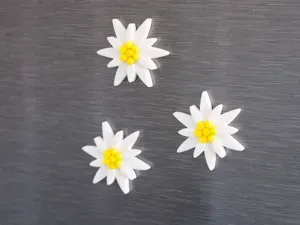 Edelweiss Fridge Magnets