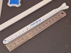 Pocket Minnow – Cute Keychain Ruler for Fishing