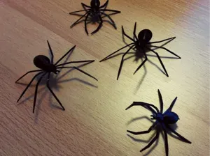 Black Widow spider hallowen scary