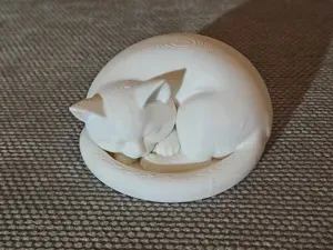 Cute Sleeping Cat