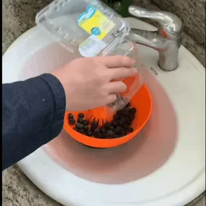 水动力果蔬清洗盆2.0