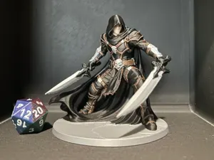 D&D-Assassin/Schurke (Mehrfarbig)