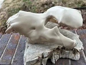 New Wolf Skull Mask