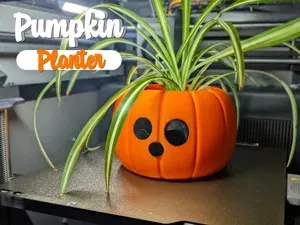 Pumpkin Planter