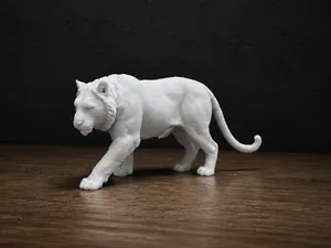 Tiger - Animal - Africa