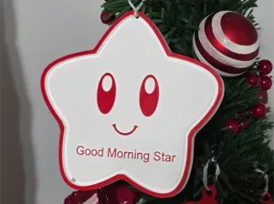 Good morning star