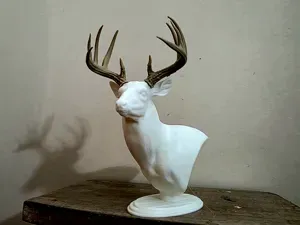 Mini Buck Deer Display - Modular Antlers