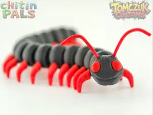 Chitin Pals: Clever Centipede!