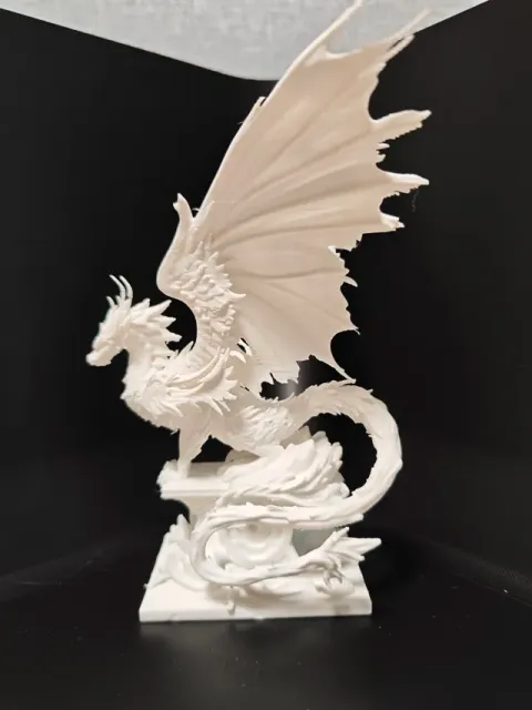 云烬：苍翼白龙像 — Image 2 of 4