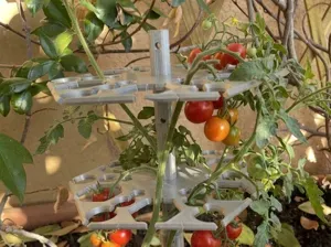 Modular Plant Halo - Multi-Tier Stem Support
